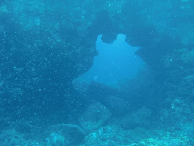 【ハワイ】ハワイ島＆オアフ島　大自然満喫の旅　～5日目～