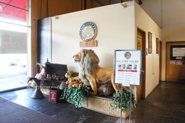 【ハワイ】ハワイ島＆オアフ島　大自然満喫の旅　～9日目～