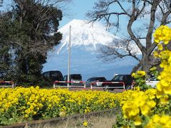 戸田港から富士山を撮影