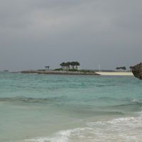 20120215沖縄の友達と観光地めぐり(二日目、美ら海水族館～公園内　①)