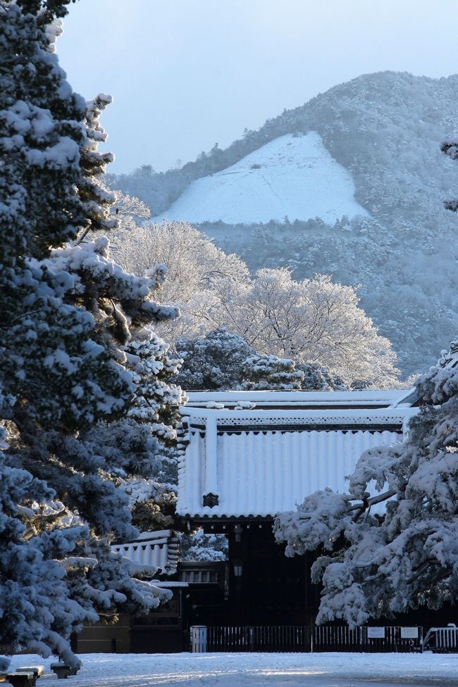 二月中旬，日本海側にやってきた雪雲が京都市内中心部に流れ込み，辺り一面雪景色となりました。<br />京都市内では年に数えるほどしかない積雪。<br />満開の桜よりも，真っ赤な紅葉よりも，雪景色に出会うことのほうがずっと難しいのです。<br />こんなチャンスを逃すわけにはいかないと思い，始発の電車に飛び乗りました。<br /><br />行きたいところは山ほどありましたが，雪が解けるまでの勝負ということで，まずは慣れ親しんだ京都御苑に行くことに。<br /><br />黎明の雪景色は，まさに枕草子「冬はつとめて。雪の降りたるはいふべきにもあらず」の世界でした。