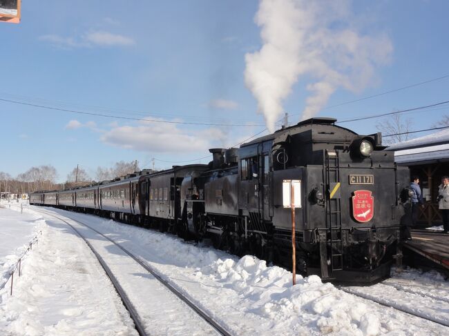 C11蒸気機関車が冬の釧路湿原を走る