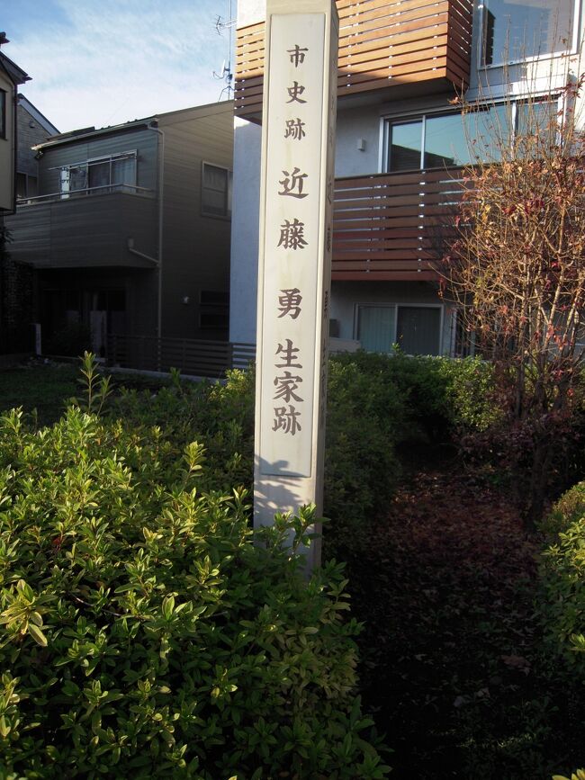 JR中央線三鷹駅南口からバス10分、下車後しばらく歩きますと調布市との境に幕末に新選組局長として活躍した近藤勇(こんどう・ いさみ)生家跡を訪問しました。近藤勇は天保5年(1834)多摩郡上石原村辻の宮川九次郎の三男(幼名宮川勝五郎)として生まれます。そして15歳で天然理心流(てんねんりしんりゅう)の近藤周助に入門、翌年に理心流の目録を得て周助の養子となり近藤姓を名乗る事になります。当時、宮川家の屋敷は、人見街道と小金井に通じる辻にあり、面積約7,000m2、建物は母屋165m2の他蔵屋敷など数棟、木々や竹が茂っていたといいます。昭和18年の戦争中に調布飛行場に隣接しているため取り壊され、現在は屋敷の東南隅に勇が産湯に使った井戸が残るのみですが、生家跡を市史跡として保存しています。(調布市HP)また近隣の龍源寺には近藤勇の墓があります。龍源寺は、天保元年(1644)に武蔵府中高安寺第4世家山東伝が開創したといわれています。開基は三鷹市の大沢村周辺をひらいた箕輪将監です。門前には近藤勇の像があり、本堂手前には左右になった樹齢300年と推定される大銀杏があり、本堂の裏手の墓地には東京都指定旧跡の近藤勇の墓があります。(調布市HP)自分は近藤勇という歴史上有名な人物が東京都多摩地区にいた事は漠然と承知していました。例えば幕末に於ける将軍家茂が上洛の際、警護の為に編成された浪人組の一員として随行、やがて京都壬生(みぶ)を拠点にして京都を見廻る新選組の局長であるとの認識でした。今回の生家訪問では生まれてから浪人組に入るまでの経緯を知る事ができました。即ち「天然理心流の免許取得」がキーワードで剣術を通じて後の土方歳三(日野・石田村在)を知る契機となり新選組展開に繋がったと思いす。自分としては新しい秩序の流れに抵抗し、凋落の一途をたどる幕府体制を支える近藤勇の終始変わらない姿勢の拠り所は何なのか知りたいところです。