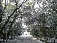 雪の熱田神宮