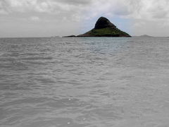 オアフ島★チャイナマンズ・ハットまで泳いでみた！