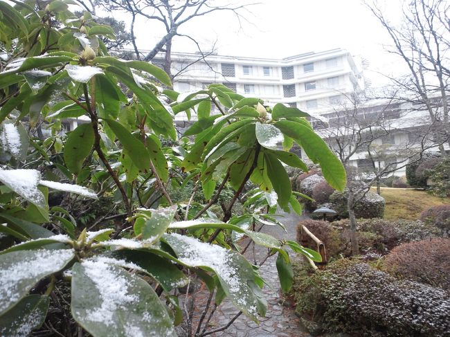 <br />2月4日訪ねた時は、小涌谷付近は雪が積もっていて雪遊びが出来たのですが・・そのつもりでソリとスノーグローブ、スノーブーツを持参。<br /><br />箱根湯本からみる山には雪の気配はなく<br /><br />ノーマルタイヤで山を上がることにしました。<br />（雪だったら無料の箱根町役場駐車場に車を泊め、公共機関で山を上がるつもりでした。）<br /><br />時間に余裕があったので芦ノ湖へ<br />天気も悪く人がまばら・・・<br /><br />中国人観光客が目立ちました。<br /><br />湖畔で海賊船を見ながらお蕎麦を食べて<br />Uターンして小涌園へ<br /><br />この辺の山って丸くて可愛い。<br />クレヨンしんちゃんのお尻みたい・・・<br /><br />さて、当然ユネッサン、森の湯へ温泉三昧。<br />ここしか娯楽が無いのよね・・<br /><br />翌日、大涌谷を目指しました。<br />ところが雪が降ってきて。段々景色が白く変わり大涌谷の500ｍ前では混んで渋滞。<br />雪道で坂道でちょっと怖い。<br />混んでいたし引き返しました。だってノーマルタイヤだし・・<br /><br />箱根湯本へ下りて、町役場へ車を泊めて町を散策。<br />歩くとあちこち試食してお腹いっぱい。<br />かまぼこ焼きと温泉饅頭を買い食いして町並みを楽しみました。<br /><br />この辺は路肩が狭いし、ちょっと不便だなあ。<br />車の人は、駐車場は少ないから困ってしまうんですが<br />町役場の駐車場に泊めれば無料だし断然お得!週末は開放しています。<br /><br />山の下と上とは天気が変わるって事を実感した箱根でした。<br /><br />