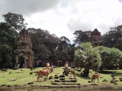 カンボジア・タイに行ってきました