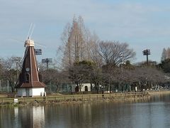 浮間公園で梅