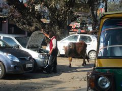 インドひとり旅④（ベナレス・市内観光）