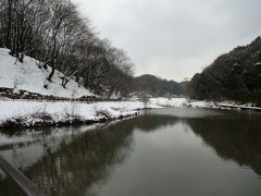 神奈川県立四季の森公園　２０１２年２月雪景色