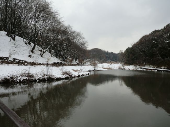 ２０１２年２月２９日　東京・横浜で久しぶりの降雪。<br />午前２時から降り始め、午後２時ごろまで降り続けました。<br />と言っても、横浜の雪は、みぞれに近い、水分を十分に含んだ雪。<br />ほとんど止んだ３時頃、神奈川県立四季の森公園を歩いてみました。