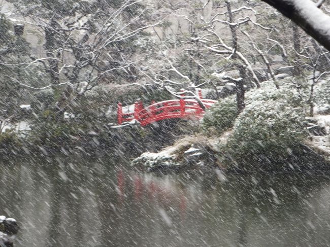 今朝は朝から雪。すでに少し積もっています。<br />今日は両国へ所用があって仕事はお休み。<br />そこで旧安田庭園と清澄庭園に行ってみました。<br />雪景色を撮影するチャンスの日にお休みとっておいてよかった♪<br /><br />昨日、北京から帰ってきましたが、寒いはずの北京より<br />今日の東京の方が寒い！<br /><br />なお、旧安田庭園と清澄庭園は、紅葉の旅行記も書いています。<br /><br />都内とは思えない日本庭園の紅葉　☆旧安田庭園<br />http://4travel.jp/traveler/door-into-summer/album/10292176/<br /><br />都内とは思えない日本庭園の紅葉　☆清澄庭園 <br />http://4travel.jp/traveler/door-into-summer/album/10292206/<br /><br />表紙写真は、雪の降りしきる旧安田庭園の太鼓橋。