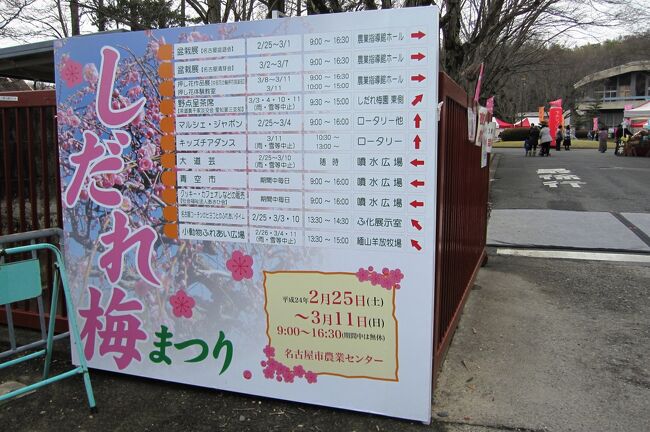 　2012年の早春、寒かった冬の影響で、今年の梅の開花はかなり遅れているようです。名古屋市農業センターの枝垂梅は、地植えの樹に辛うじて1輪だけ咲いた白梅を目にしました。<br /><br />　最近の梅の花探訪記の一覧です。<br />○2011名古屋市農業センター：満開<br />http://4travel.jp/traveler/tabitonokumasan/album/10554413/<br />○2010名古屋市農業センター：満開<br />http://4travel.jp/traveler/tabitonokumasan/album/10434834/<br />○2010名古屋市農業センター：咲き始め<br />http://4travel.jp/traveler/tabitonokumasan/album/10432108/<br />○2009名古屋市農業センター：咲き始め<br />http://4travel.jp/traveler/tabitonokumasan/album/10308170/<br />○2009名古屋市農業センター：七分咲き<br />http://4travel.jp/traveler/tabitonokumasan/album/10312766/<br />○2009名古屋市農業センター：散り始め<br />http://4travel.jp/traveler/tabitonokumasan/album/10316048/<br />○2009東山植物園<br />http://4travel.jp/traveler/tabitonokumasan/album/10310494/<br />○2009長浜盆梅展<br />http://4travel.jp/traveler/tabitonokumasan/album/10311614/<br />○2009大高緑地公園<br />http://4travel.jp/traveler/tabitonokumasan/album/10311929/<br />○2008名古屋市農業センター：咲き始め<br />http://4travel.jp/traveler/tabitonokumasan/album/10222000/<br />○2008名古屋市農業センター：満開直前<br />http://4travel.jp/traveler/tabitonokumasan/album/10224578/