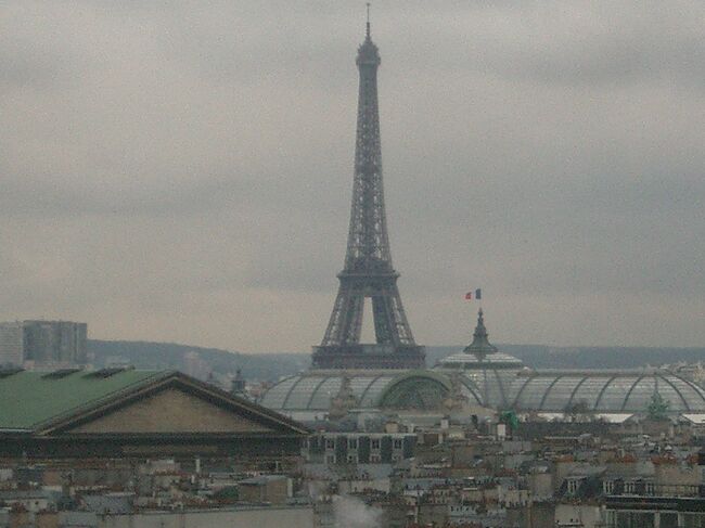 ギャラリー・ラファイエットの屋上からパリの眺めを楽しみました。