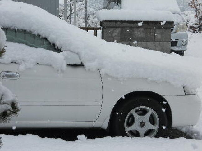 関東北部29日数十年振りの降雪がありました<br />１６〜７ｃｍ位降りました翌日にはほどんど溶けました<br />それにしても今年の冬は本当に寒かったです