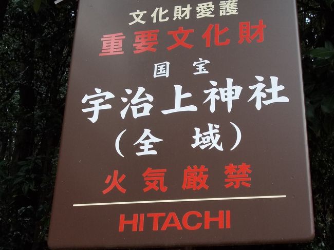 京都に三連泊。初日は東福寺で、二日目に宇治市宇治山田にある世界遺産の神社で、本邦最古の神社建築だという宇治上神社を訪れました。<br />経路は京都三条京阪から特急で中書島(ちゅうしょじま)、そこで乗り換えて終点の宇治まで約30分で到着。宇治駅は写真を忘れたけれど、モダンなデザインで見事だった。<br /><br />目的の宇治上神社は平等院の対岸で斜面の上方にあるらしいので、近距離ながら駅前タクシーを利用して宇治上神社までワンメーターで到着。<br />当社は醍醐天皇が延喜元年（901）に社殿を建造したことに始まり、藤原氏が平等院建立ののち、宇治上神社はその鎮守社として氏子の崇敬を集め、以後連綿と社殿が維持されてきたという。<br /><br />境内に入ってすぐ右に事務所があり、由緒書きや絵葉書などのほか、可愛い兎の腹に入ったおみくじなどを売っている。<br />神域は広くはないけれど、社殿の後ろの斜面は照葉樹に覆われていて美しい。<br />目の前には鎌倉時代の始めに建てられた国宝の拝殿があり、その前に清めの砂の山がつくられていた。拝殿の屋根の曲線はとても美しく軽快な感じがしたが、構造は寝殿造りを思わせるそうで、現存する最古の拝殿という。<br />順路に従って右側から反時計回りに移動する。（チベット仏教では絶対に時計回りにする）<br />拝殿のならびに宇治七名水のひとつ、桐原水（きりはらみず）が湧いている。あとの六名水は絶えてしまったので、たった一つ残った七名水ということになる。同時に指定された宇治茶七名園の現状は聞き漏らした。<br /><br />拝殿の後ろに築かれた、一段高い場所に国宝の三つの本殿を覆うシンプルな構造の覆屋があり、両脇に摂社が並んでいる。摂社は右から香椎神社、住吉社、春日神社（これは重要文化財）。覆屋を挟んで左には武本稲荷社がある。<br />本殿は平安時代の後期に造営され、現存する最古の神社本殿であるが、材木の年輪年代から1060年頃の建築とされている。平等院が1052年の創建であり、両者の深い関係が伺われる。<br /><br />覆屋のなかには、中央に応神天皇、右に&#33708;道稚郎子、左に仁徳天皇を、それぞれ小さな社に祭ってある。&#33708;道稚郎子（うじのわきのいらつこ）は応神天皇の皇子で、才能を買われて皇太子になったが、異母兄の仁徳天皇に皇位を譲るために自ら命を絶ったという古墳時代の皇子である。つまり、祭神は応神天皇と、その皇子二人である。<br />応神天皇には、ほかに皇位を狙って討たれた皇子もいるが、歴史の外側の人となっている。<br /><br />宇治上神社を拝観してから、木製の狛犬（博物館に寄託中）が有名な宇治神社を経由して、宇治川の中ノ島を通り、平等院では浄土庭園をへだてて鳳凰堂を拝観、ミュージアムの鳳翔館をみて、参道では上林園で宇治茶を買って京都の宿に帰りました。<br /><br />