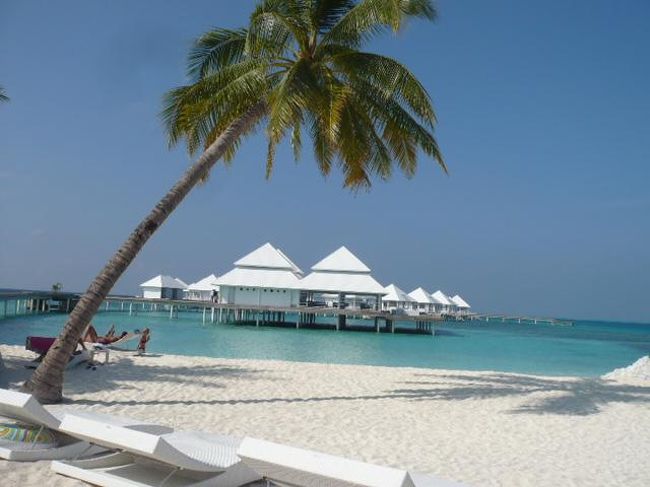 Thudufushi Island Resort（トゥドゥフシ　アイランド　リゾート）<br />（２０１２年１月１８日現在の情報です。情報は予告なしに変更されますので、予めご了承ください。）<br /><br />『わ〜妖精のお部屋みたいな真っ白な水上コテージと真っ白なビーチ…ドキドキしちゃう』<br />２０１０年１２月に改装工事を終え、水上コテージが誕生！<br />South Ali Atoll西側に位置し、空港から水上飛行機で約３０分。<br />トゥドゥフシとアトゥルガは姉妹リゾート。トゥドゥフシからアトゥルガまでスピードボートで約３０分と近い。<br />丸くて小さくてこぢんまりとした島は１周歩いても約１０分。<br />水上飛行機から、このリゾートを見る方は、え〜何処のリゾート〜？と、必ず聞くくらい島＆水上コテージが魅了的！<br />水上飛行機はMaldivian Air Taxi。赤い水上飛行機は模型みたいで可愛い。<br />水上飛行機チェックイン後、国際線ターミナルから空港東側にある水上飛行機のターミナルまではバスで移動します。<br />ターミナル到着後正面にカスタマーカウンターがありますので、カウンタースタッフに搭乗券を見せて、水上飛行機のフライトナンバー＆出発時間の再確認をされてください。<br />水上飛行機出発のお時間まで、広いターミナル内で快適にお待ちいただけます。<br />オープンエアーで気持ちが良く、水上飛行機が目の前に見えます。<br />搭乗時間になりましたら、フライトナンバー＆リゾート＆搭乗ゲートの案内が放送されますので、搭乗ゲートへお進みください。また、モニターにも表示されますので、ご確認ください。<br />もし予定の出発時間になっても搭乗案内が無い場合は、カスタマーカウンターにお問い合わせください。<br /><br />トゥドゥフシのプラットホームからリゾートまで、ドーニーで約５分です。<br />リゾートスタッフがお迎えいたします。<br />リゾート到着時は、フレッシュジュースのウエルカムドリンクとフルーツ！<br />モルディブに来た！と言う実感がわきますよ〜...。<br /><br />ビーチバンガローご宿泊のお客様は、真っ白なビーチが広がる島のレセプションでチェックイン。<br />水上コテージご宿泊のお客様は、真っ白いレセプションでチェックイン。<br /><br />オールインクルーディブなので、気軽に過ごせるのも大きな魅力！！！<br /><br />島の雰囲気<br />モルディブを感じる島内は、ソフトな白いビーチが綺麗で波の撃つ音が優しく心に響きます。そして静か...。<br />スタイルの良いヤシの木が豊富で、ビーチにもス〜ット伸びています。お部屋の近辺にあるヤシの木は、自然の木葉のパラソルを形とり、日陰となり気持ちよく過ごせます。<br />島内も緑が綺麗で日陰も有り歩きやすい。<br />自然を上手に残し、島つくりをしています。<br /><br />ソフトな白砂のビーチ沿い歩くと、波際がキラキラしているのでとても綺麗です。<br />乾季＆雨季の風向きで、ビーチの広がり方が変化しますが、両時期共に綺麗なビーチが広がっています。北西方向には、綺麗な砂州伸びています。<br />メインの桟橋＆ラグーン内には小魚の群が沢山！多いなお魚に食べられないように集団で移動しますので、常に形も変わり面白い。<br /><br />お部屋番号３０番付近では気持が元気になれるサンライズ．．．ビーチバー前からは心が癒されるサンセットを眺めることができます。<br />ビーチバーの前には、大きな白いサンベッドが有り、ご自由にご利用いただけます。<br />水上レストラン＆バーでも、綺麗なサンセットを眺めていただけます。<br /><br />サギの鳥さんもいますよ〜。メインレストラン前にはＢＢＱコーナーがあります。<br />そこにポーズをとり立っています。横を通っても逃げません．．．<br />とてもフレンドリーです。<br /><br />トゥドゥフシはイタリア人のお客様が半分、後の半分はドイツ、スイス、イギリス、中国、韓国、その他、と多国籍。<br />日本人マーケットには未開発のリゾートです。この点も魅力的ですね！<br />大半のお客様はお部屋のビーチまでのんびりと日焼け＆読書を楽しまれています。<br />水上コテージにご宿泊の方は、ひろ〜いテラスでのんびりと…。<br />意外とダイビングをされる方などが多く午前＆午後とボートダイブに行かれています。<br />また、アクティビティメニューもあり、気軽に参加されている方も多いです。<br /><br />スタッフもフレンドリーで優しい。レセプションにはモルディブ人、ゲストリレーションにはスイス人、ウォータースポーツ＆アニメーションにはイタリア人などなど…。<br />気軽に声をかけてくれるので、とても話しやすいです。<br />ご滞在されているお客様も、自然と調和され、お客様もとても素敵な顔をして過ごされています。<br />日本人スタッフがいなくても安心していただけます。<br />それだけ過ごしやすいトゥドウフシは絶好のヴァカンスリゾート！<br /><br />時間<br />日本との時差３時間<br /><br />島のサイズ<br />１周歩いて約１０分<br /><br />電気圧<br />２２０V　５０Hz<br />プラグ：三椏平ピン。ＵＳＡ２ピン<br /><br />リゾート日本人スタッフ：いません<br />日本人ダイビングインストラクター：いません　<br /><br />Webesite ： http://www.diamonds-reaorts.com<br />Email ： info.thudufushi@planhotel.com<br />電話：（９６０）６６８−０５８３<br />ファックス：（９６０）６６８−０５１５<br /><br /><br /><br /><br />