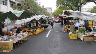 土佐のおきゃくレポ　2-1　日曜市、名物屋台で朝飯