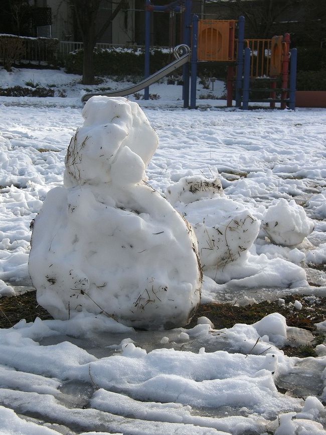 ２月２９日に関東地方に降った雪は久しぶりの雪景色を見せてくれた。<br />早朝ウォーキングにカメラを持って出かけた。<br /><br />雪大好き人間は、久しぶりの雪景色に♪♪でした。