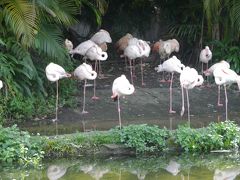 台湾　「行った所・見た所」　台北（台北市立動物園）