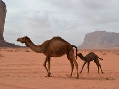 サッカーと砂漠と遺跡のタビ（6）