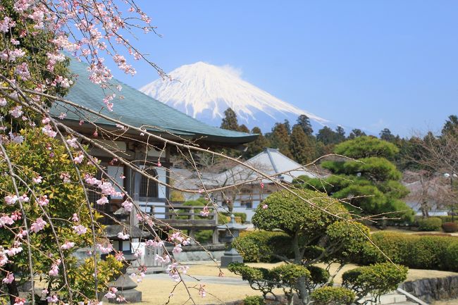 春の富士山撮影紀行(2011年4月）