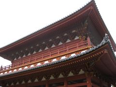 ●京都冬の旅⑥初めての妙心寺見学●