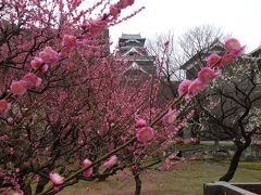 早春の福岡・熊本1泊2日の旅♪　２日目　日本三名城の熊本城と水前寺公園を訪ねる。　もちろんラーメンも(^^ゞ