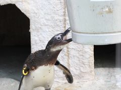 パンダを見なくても十分楽しい上野動物園（1）動物編～初めて西園まで足を伸ばして