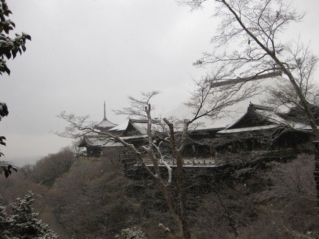 ●京都冬の旅⑦早朝散歩で清水寺行ったら雪降った●