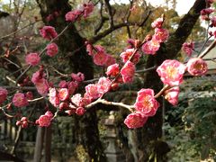 100点にご縁を！～勝手に合格祈願の旅～その３　北野天満宮参拝　2～