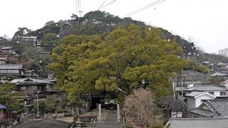【国内82】2012.3雨の尾道，大三島旅行1-尾道へ，尾道国際ホテル，艮神社