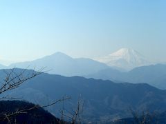 2012年・高尾山のシモバシラ♪