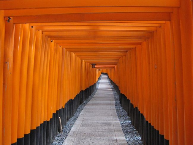 最後の目的地は今年の干支ならではの「神宝神社」。<br />テレビで見た、狛犬ならぬ狛龍を見に。<br />その後、バスで空港へ向かい、帰路についたのです、が…。