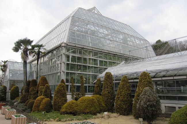 2012早春、東山植物園(3/3)：竹林、重要文化財の日本最古の温室、縄文杉のレプリカ