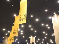 一眼レフで捉えた夜のバレエ観劇会場の東京文化会館