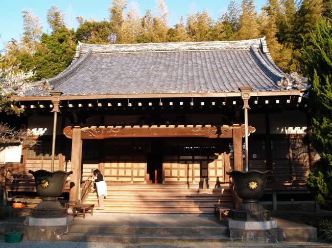 横浜市栄区上郷町にある證菩提寺は高野山真言宗のお寺で五峰山一心院證菩提寺という。治承4年(1180年)、石橋山で戦死した佐那田与一の霊を弔うために、建久8年(1197年)に源頼朝が創建したと伝えられる古刹である。かつては広大な敷地を持っていたために、本堂があった位置すら分かってはいない。この寺は、鎌倉の鬼門にあたり、一大穀倉地帯である「山内本郷」の中心にあり、鎌倉中に組み入れられていた地でもある。寺の住職は鶴岡八幡宮寺から派遣されており、戻ることが多かったために、歴代住職の墓は少ないのだという。明治維新で鶴岡八幡宮寺は神社に変わったが、ここ證菩提寺は高野山真言宗の寺のままで残った。<br /> 源頼朝創建の寺であり、創建以来檀家はなかったが、最近になって寺の南側に證菩提寺霊園を造成し、墓地を分譲するようになってようやく潤うようになった。<br /> 平安期とされる阿弥陀三尊像(定朝流)は、国の重要文化財に指定されており、修復後に横浜市歴史博物館で展示されたことがあった。今は本堂横の宝蔵庫に安置されている。初期の本尊と伝えられる阿弥陀如来像も鎌倉期運慶流の作で県の重要文化財となっている。<br /> 本堂の棟持瓦には笹りんどうの源氏の家紋が入り、鎌倉市ではマンホールなどに良く目にするが、ここ横浜市の源頼朝創建の寺でも見られる。ただし、人が踏みつけたりすることはない。<br />(表紙写真は證菩提寺本堂)