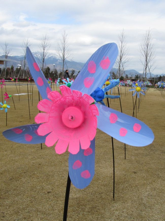 ペットボトルの風車 平塚花菜ガーデン 開園２周年 平塚 大磯 神奈川県 の旅行記 ブログ By あんみつ姫さん フォートラベル