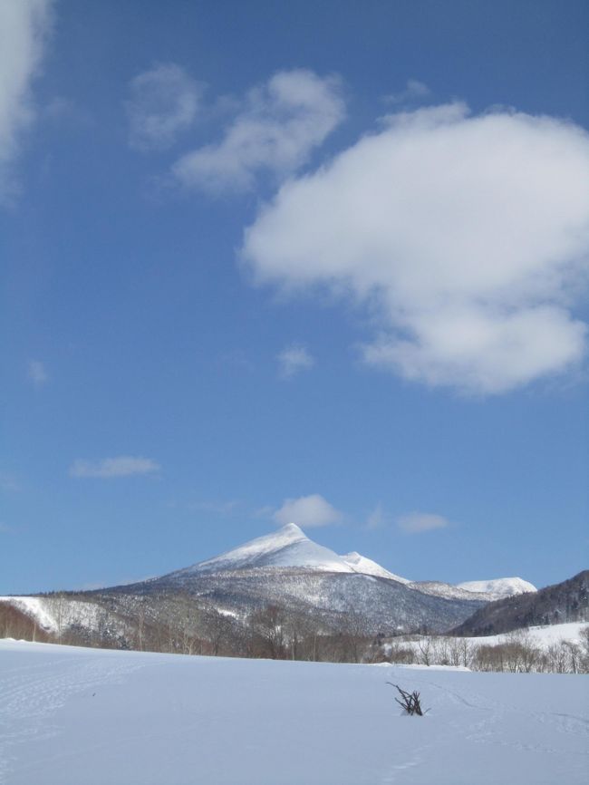 北海道冬の魅力再発見～～～～～＼(~o~)／<br /><br />冬のジーズン最後のお出かけ＝З<br /><br />　　　<br />　　　　うぅ～～～～ん(-。-)<br /><br />今年は厳冬のイベント堪能したなぁ。。。満足♪<br /><br />3月に入ると北海道もそろそろ冬のイベントもなくなります・・・<br /><br /><br />。。。。で、最後に行って来ました！！<br /><br />         冬しか会えない彼らに・・・・<br /><br />　★ニョロニョロ★　に会いにいこう♪♪<br /><br /><br />スノ―シューを履かないと会えないよ――――――――――(^○^)<br /><br />スノーシューで大雪原を歩いて「ニョロニョロ」が待っている洞窟へ。。。<br /><br />　　　　　　　行っくよ～～♪<br /><br />http://h-takarajima.com/detail/index/661<br />　　　　　　<br /><br />＊表紙の山は、大滝のシンボル徳舜瞥山(とくしゅんべつ)＊<br /><br /><br /><br /><br /><br /><br /><br /><br />