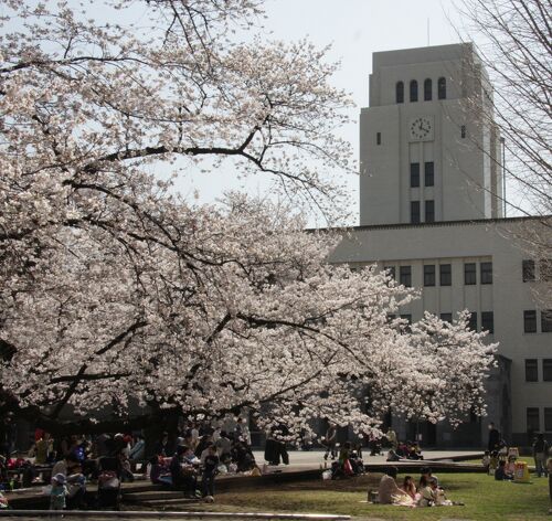 大岡山の桜 東京工業大学卒業式の思い出2013/2006/1968/1966