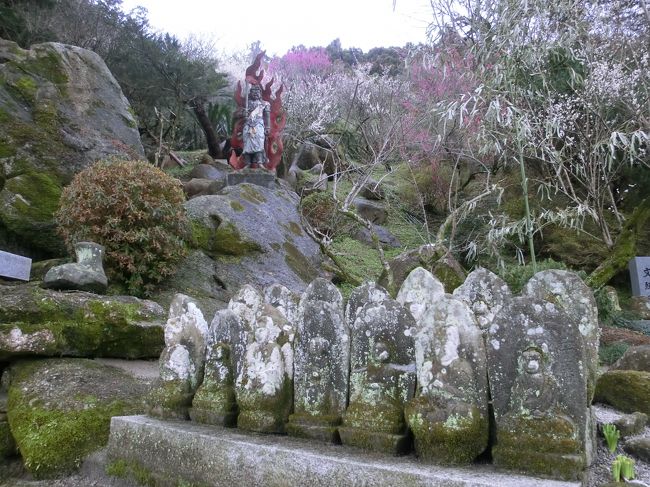 遅い梅の開花の便りに誘われて<br />伝教大師(最澄)開基、創建の<br />神宮院へやってきました。<br />