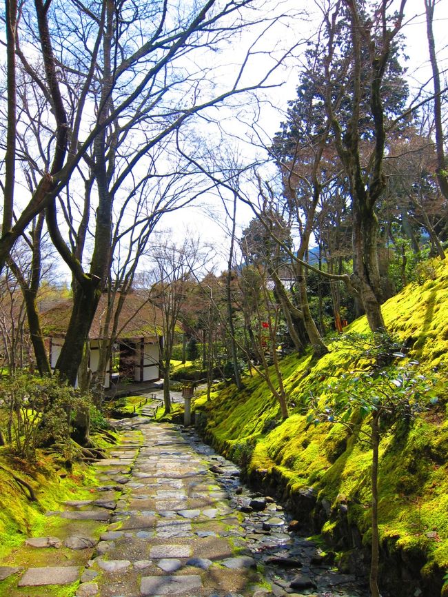 青春１８切符２回目は前日奈良の続きで京都を散策します。<br /><br />今日は京都嵐山付近のお寺を中心に巡りたいなぁと思います。<br />京都はじゃいこちゃんの地元・名古屋から近い方だけどあまりきたことがありません。<br />修学旅行と、親友に会いに２回ぐらいかな。<br /><br />ほとんどないです。<br />嵐山は初です。どうしても京都というと、東山や銀閣寺の辺にいってしまうので。<br />紅葉のシーズンではないけど、嵐山を楽しみたいとおもいます。