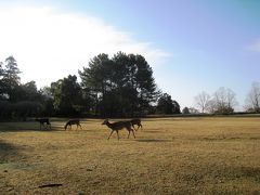 天平の昔に思いを馳せて～