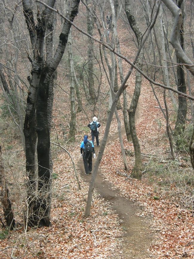 今日は友人夫婦の登山訓練に参加して太平山系の大平山・晃石山・馬夫入山と<br />ぐみの木峠・桜峠の往復して12ｋｍ28.880歩約6時間を歩くハードなものでしたが、<br />久しぶりにしっかり山歩きした一日でした。<br /><br />それにしてもご夫婦は大きな山に登りたいと言う夢から、大変な努力と受け取れました。<br />それほど真剣に登山と取り組みたいと言う夢をかなえてやりたい心境に・・。