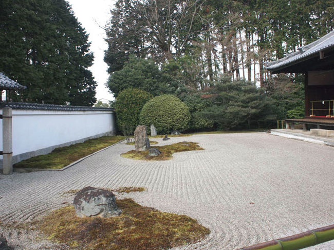 非公開の特別公開をしている大光明寺では、枯山水の庭や本尊の普賢菩薩像を近くでじっくり見ることが出来ました。<br />夢想礎石を開山とする大光明寺は、広義門院西園寺寧子によって、暦応2年（1339）に建立されました。相国寺より以前のことでした。<br />広義門院は、伏見天皇の皇后で、天皇の崩御の後、伏見離宮に大光明寺を建て、天皇の菩提を弔いました。<br />門院の孫の伏見宮家の始祖・栄仁親王が薨去され、寺内に葬られて以来、このお寺は伏見家歴代の菩提樹となりました。元和元年（1903）徳川家康によって相国寺塔頭として再興されました。お庭以外は勿論撮影禁止です。