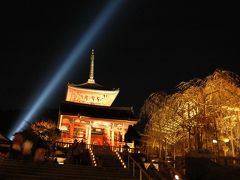 京都「東山花灯路」を撮る。