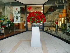 マイアミを楽しんできました！！・コーラル・ゲーブルズ周辺