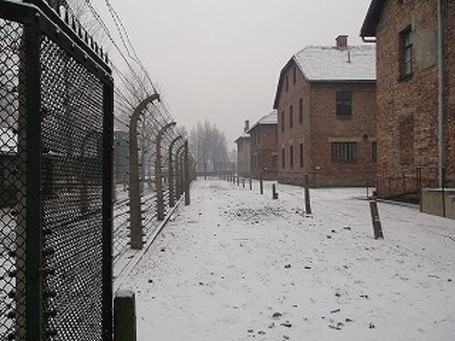 アウシュビッツ捕虜収容所はドイツ領とされたポーランドのオシフィエンチム市郊外に<br />１９４０年にドイツによって設立された。<br />これによりドイツ語の”アウシュビッツ”と言う地名に変更された。<br />ナチス・ドイツの強制収容所にはヨーロッパ各地からユダヤ人が公表されているだけでも<br />１１０万人が送られてきたそうです。<br />現在は、当時の建物が殆ど保存されていて収容所内を見学することが<br />出来ます。<br /><br />アウシュビッツとビルケナウの収容所は日本語での案内もあるので<br />訪れては如何でしょうか。