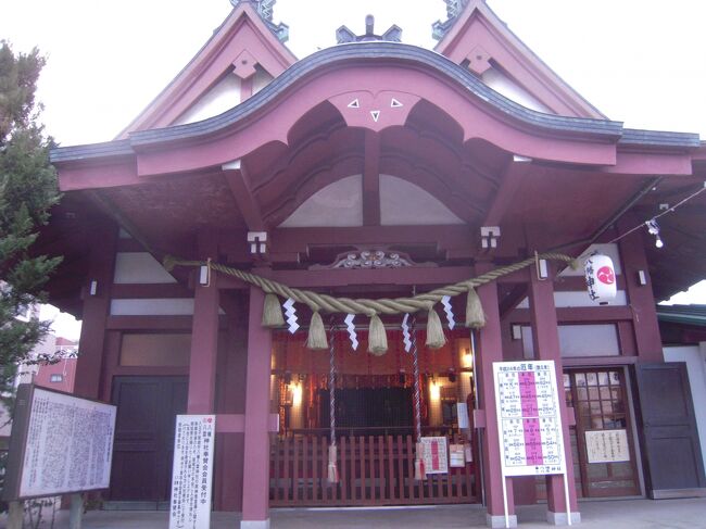 武蔵国八王子地域の有力武士集団(後世呼称として「武蔵七党」と言われた)横山党の中心的存在である横山氏が創設した八幡八雲神社(はちまん・やくもじんじゃ、東京都八王子市横山町)を散歩しました。源頼朝が鎌倉幕府を創設した時、横山党の一族はこぞって頼朝の下に参加し、当時の首領横山時広・時兼父子も御家人の任を得ることになります。御家人として特筆すべき活躍ぶりは次の通りです。即ち寿永元年(1182)に嫡男頼家の誕生の際、時兼は他の有力御家人とともに御護刀を献じる役割を担います。文治5年(1189)の奥州征討には時広・時兼父子とも従軍し、特に頼朝の命令により藤原泰衡の首を獄門に掛ける役を果たします。更には頼朝の再上洛にも随行して御家人として働きます。然しながら建保元年(1213)、和田義盛(わだ・よしもり、1147~1213)と2代執権の北条義時(ほうじょう・よしとき、1163~1224)との戦い(和田義盛の乱)には横山時兼は一族郎党を率いて義盛に与しますが結果義盛は息子と共に討死、時兼は逃走先で自刃するに至り横山氏は滅亡します。横山氏が和田氏に加担したのは姻戚関係にあった訳で、当時の婚姻の持つ重要性は極めて絶対的な意味を持っていますので選択の余地はないと言えると思います。加えて頼朝死後の幕府は求心力を失い不安定な状況にあり、御家人同士の政争は日常茶飯事でありましたから合戦は想像に難くありません。この合戦により横山氏所領は没収、旧領は大江氏広元(おおえ・ひろもと、1148~1225)に引継がれ、北条氏はこれを機に他の有力御家人排除に弾みをつけてまいります。現地にて入手の「八幡八雲神社由緒略記」には下記のごとく記述されています。「 八幡神社の創立八幡神社は延長2年(924)、武蔵守隆康が国司の時、この地へ石清水八幡宮を祀り、国土安全を祈願したのが起源であります。天慶3年(940)、隆康の長子小野義孝は武蔵権之守に任ぜられて当地に来り、父の意思を継いで、八幡宮を再建し、任期が満ちたので、この地に永住する事になったのであります。そして先ず小野氏を横山氏と改め、追々当地を開拓して遂には一村落をを形造り横山村と呼びました。これが八王子の始まりであります。義孝は八満宮を中心に祭政一致を行いました。この人が武蔵七党の一つである横山党の始祖で横山義孝と申す方であります。八幡神社は実に、八王子草創の神で、当時は横山之庄(八王子を中心に方数里)の総鎮守でありました。又境内にある横山神社は開祖横山義孝公を祀った社で、その創設は健保年間(1213~1218)であります。」