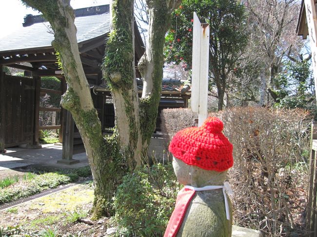 花と緑の振興センターの梅を見た後、興禅院に来ました。<br />http://4travel.jp/traveler/19563147/album/10655397/<br />花を鑑賞しに来た人たちがちらほら。静かなお寺です。<br /><br />昨年の興禅院の梅　３月４日<br />http://4travel.jp/traveler/19563147/album/10551002/